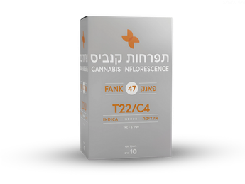 תפרחת פאנק 47 - T22/C4 - Fank 47