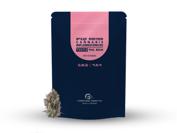 תפרחת גי.אם.זי - T22/C4 - G.M.Zi