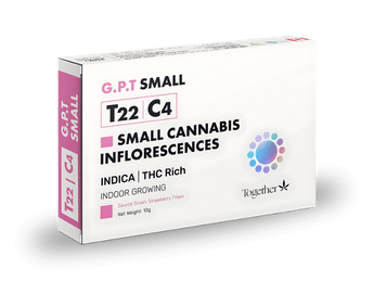 תפרחת ג'י.פי.טי סמול  - T22/C4 - G.P.T Small