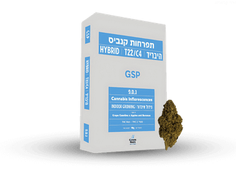 תפרחת ג.ס.פ - T22/C4 - G.S.P