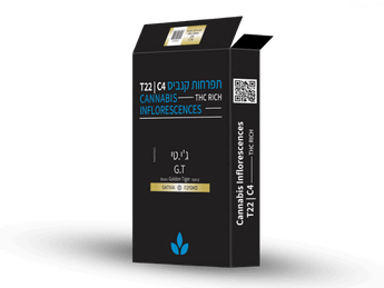 תפרחת ג'י.טי - T22/C4 - G.T