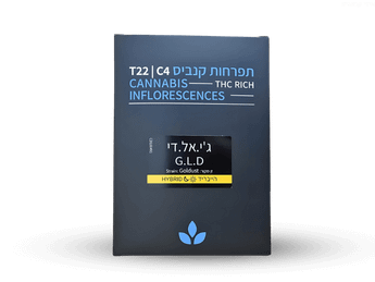תפרחת ג'י אל די - T22/C4 - GLD
