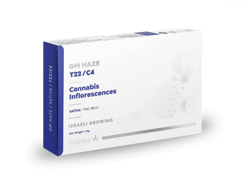 תפרחת ג'י אם הייז - T22/C4 - GM Haze
