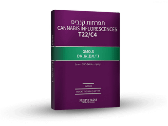 תפרחת ג'י.אם.או.אס - T22/C4 - GMO.S
