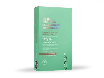 תפרחת ג'י.אם.או.זי צ'יקו מיני - T22/C4 - GMO.Z Chico Mini