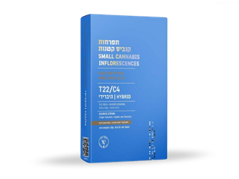 תפרחת ג.ס.פ צ'יקו מיני - T22/C4 - GSP Chico Mini
