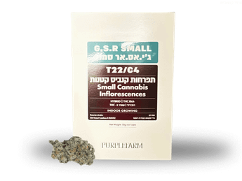 תפרחת ג'י אס אר סמול - T22/C4 - GSR Small