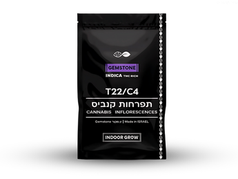 תפרחת ג'מסטון - T22/C4 - Gemstone