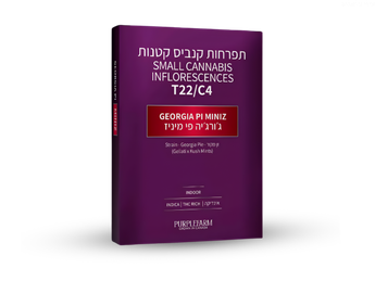 תפרחת ג'ורג'יה פי מיניז  - T22/C4 - Georgia Pi Miniz