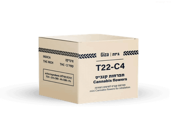 תפרחת גיזה - T22/C4 - Giza