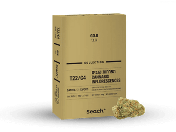 תפרחת גו.בי - T22/C4 - Go.B