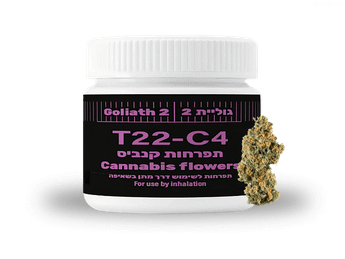 תפרחת גוליית 2 - T22/C4 - Goliath 2