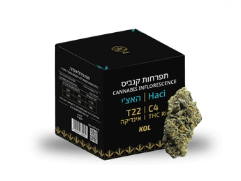 תפרחת האצ'י - T22/C4 - Haci