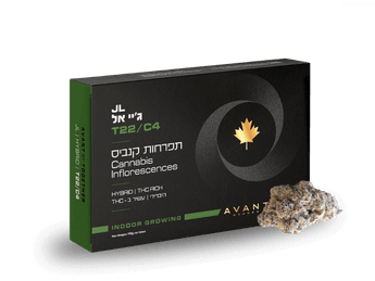 תפרחת ג'יי.אל  - T22/C4 - JL