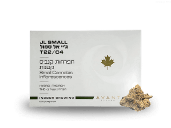 תפרחת ג'יי אל סמול  - T22/C4 - JL Small