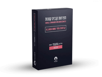 תפרחת קיי.לארה מיני - T22/C4 - K.Lara Mini