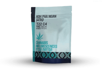 תפרחת קופנגן  - T22/C4 - Koh Pha Ngan