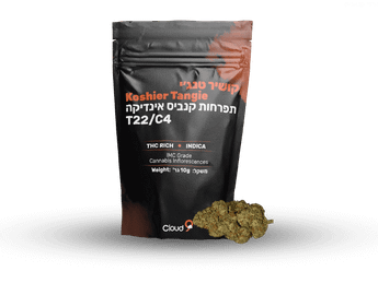 תפרחת קושיר טנג'י - T22/C4 - Koshier Tangie
