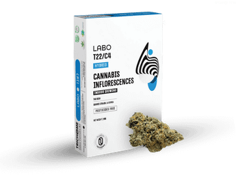תפרחת לאבו - T22/C4 - Labo