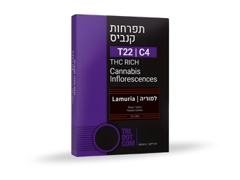 תפרחת למוריה - T22/C4 - Lamuria