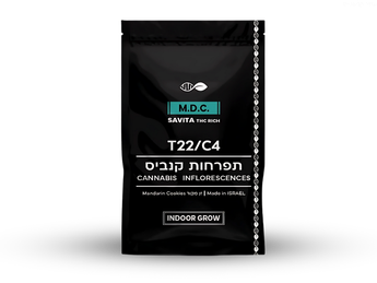 תפרחת מ.די.סי. - T22/C4 - M.D.C.