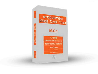תפרחת אמ.ג'י.1 - T22/C4 - M‎.‎G‎.‎1