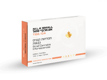 תפרחת אם. אל. קיי סמול - T22/C4 - M.L.K Small