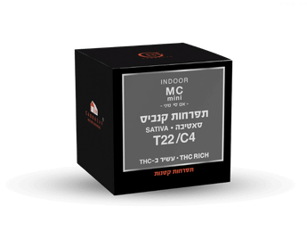 תפרחת אם סי מיני - T22/C4 - MC Mini
