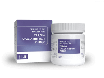 תפרחת אם קיי קוש מיני - T22/C4 - MK Kush Mini