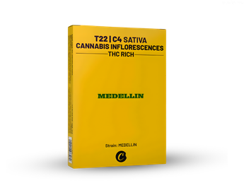 תפרחת מדיין - T22/C4 - Medellin