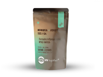 תפרחת מימוסה - T22/C4 - Mimosa