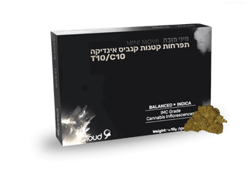 תפרחת מיני מובה - T10/C10 - Mini Mova