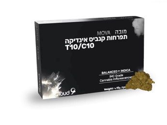 תפרחת מובה - T10/C10 - Mova