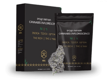 תפרחת ני - T22/C4 - NI