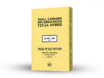 תפרחת ניו יורק אל.וי מיני - T22/C4 - New York L.V Mini