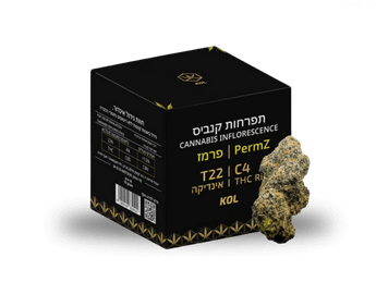 תפרחת פרמז - T22/C4 - PermZ