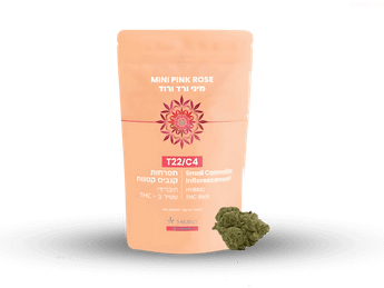 תפרחת פינק רוז מיני - T22/C4 - Pink Rose Mini