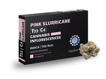 תפרחת פינק סלוריקיין - T22/C4 - Pink Slurricane