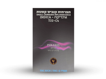 תפרחת פולריס מיני - T22/C4 - Polaris Mini