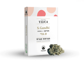 תפרחת ס.גנדי - T22/C4 - S.Gandhi