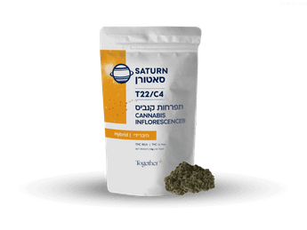תפרחת סאטורן - T22/C4 - Saturn
