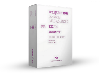 תפרחת שירו - T22/C4 - Shiro