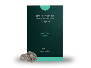 תפרחת סולו #31  - T22/C4 - Solo #31