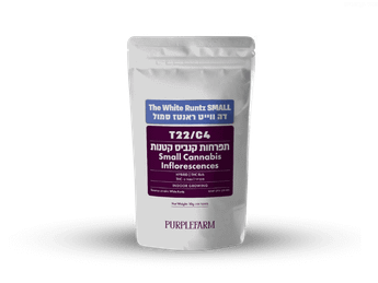 תפרחת דה ווייט ראנטז סמול - T22/C4 - The White Runtz Small