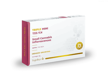 תפרחת טריפל מיני - T22/C4 - Triple Mini