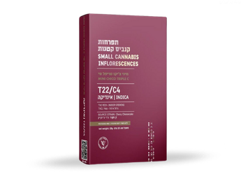 תפרחת טריפל סי צ'יקו מיני - T22/C4 - Triple C Chico Mini