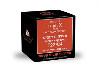תפרחת טריפל איקס מיני - T22/C4 - Triple X Mini