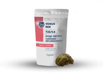 תפרחת ונוס - T22/C4 - Venus