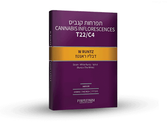 תפרחת דאבליו ראנטס - T22/C4 - W Runtz