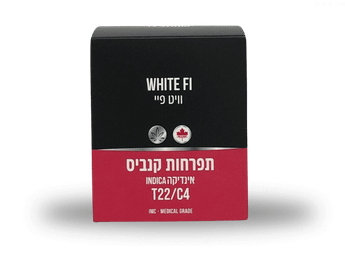 תפרחת וויט פיי - T22/C4 - White Fi
